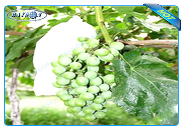 OEM de Beschikbare Niet-geweven Zak van de Fruitbescherming voor Druivengrootte 20 cm 22cm